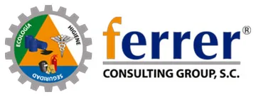 Ferrer Consulting Group
